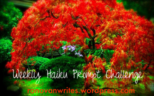 Wings of love: Ronovan Writes Weekly Haiku Prompt Challenge #59